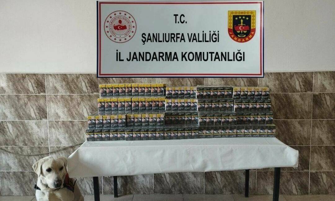 Viranşehir ilçesinde jandarma ekipleri tarafından yapılan operasyonda 420 paket gümrük