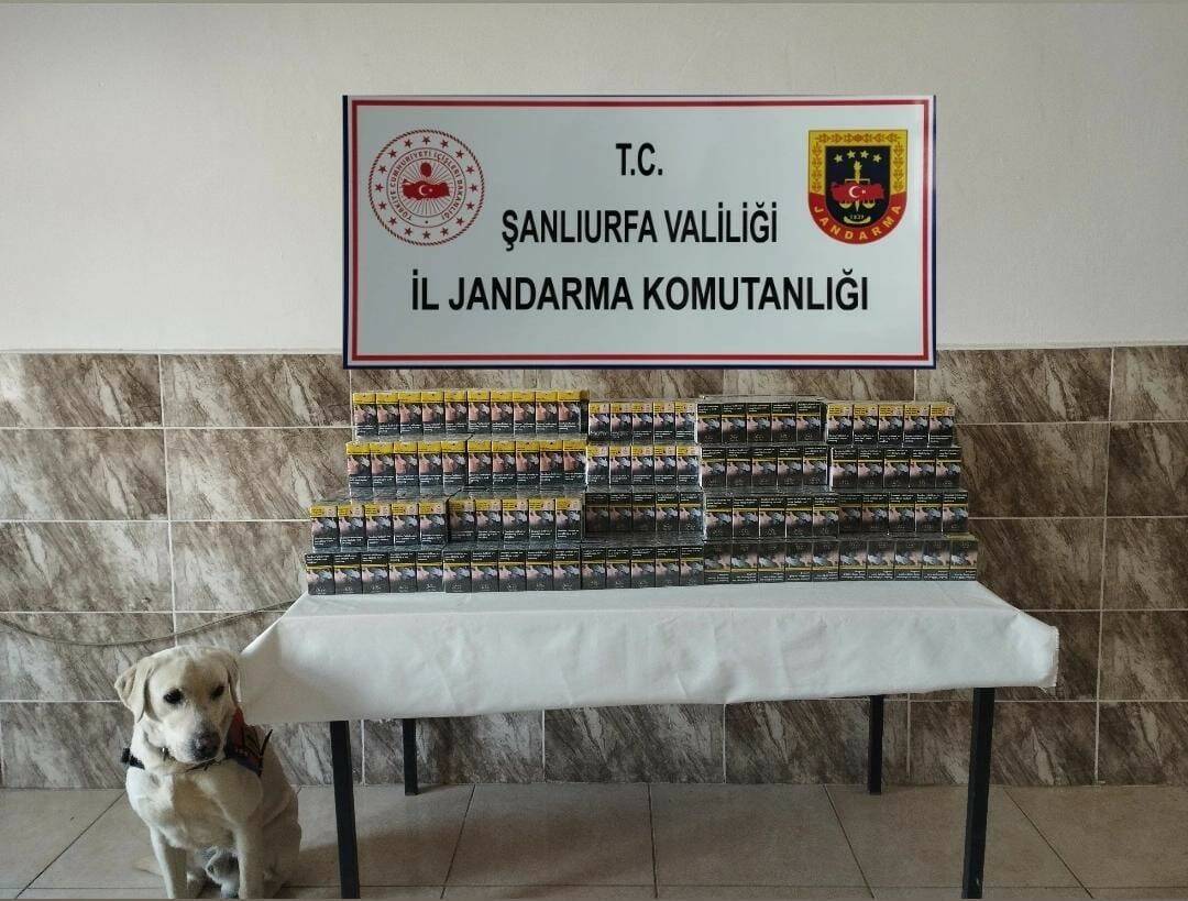 Viranşehir ilçesinde jandarma ekipleri tarafından yapılan operasyonda 420 paket gümrük