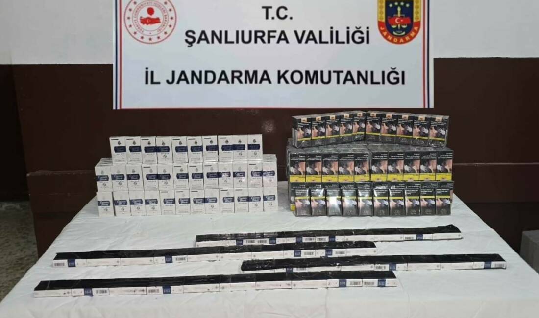 Şanlıurfa'nın Haliliye ilçesinde jandarma ekipleri 460 paket gümrük kaçağı sigara