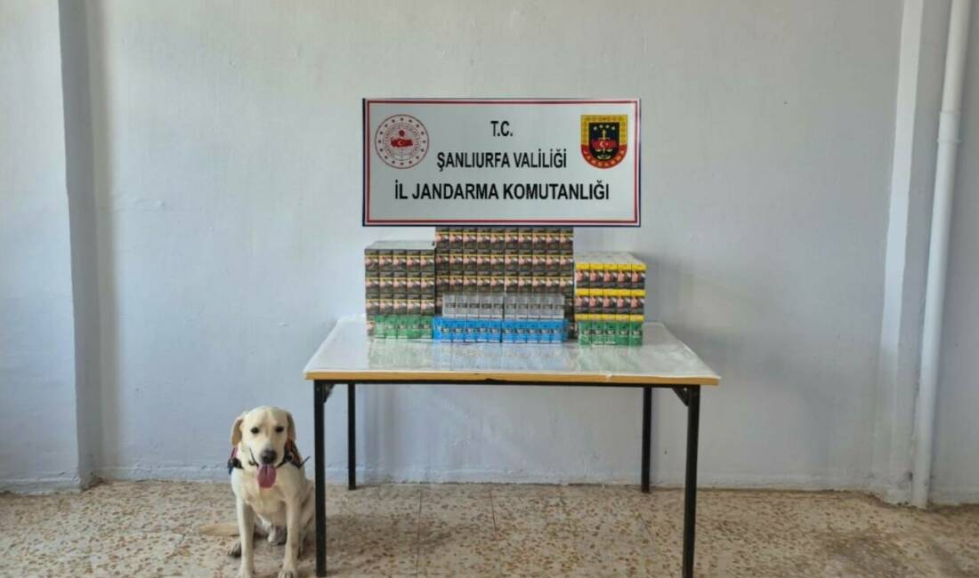 Şanlıurfa’da düzenlenen kaçakçılık operasyonunda 7 bin 777 paket gümrük kaçağı