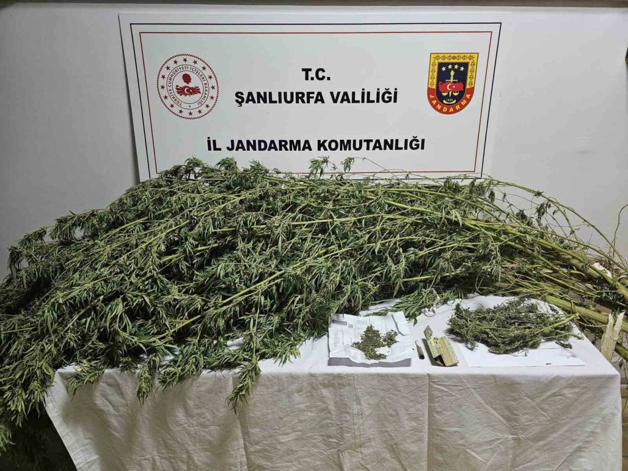 Şanlıurfa’nın Haliliye ilçesinde yapılan çalışmada 330 gram kubar esrar maddesi