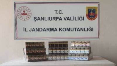 Şanlıurfa'nın Viranşehir ve Ceylanpınar ilçelerinde jandarma ekiplerince gerçekleştirilen operasyonda 910