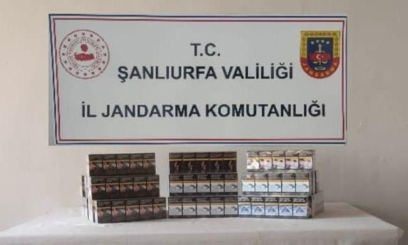 Şanlıurfa'nın Viranşehir ve Ceylanpınar ilçelerinde jandarma ekiplerince gerçekleştirilen operasyonda 910