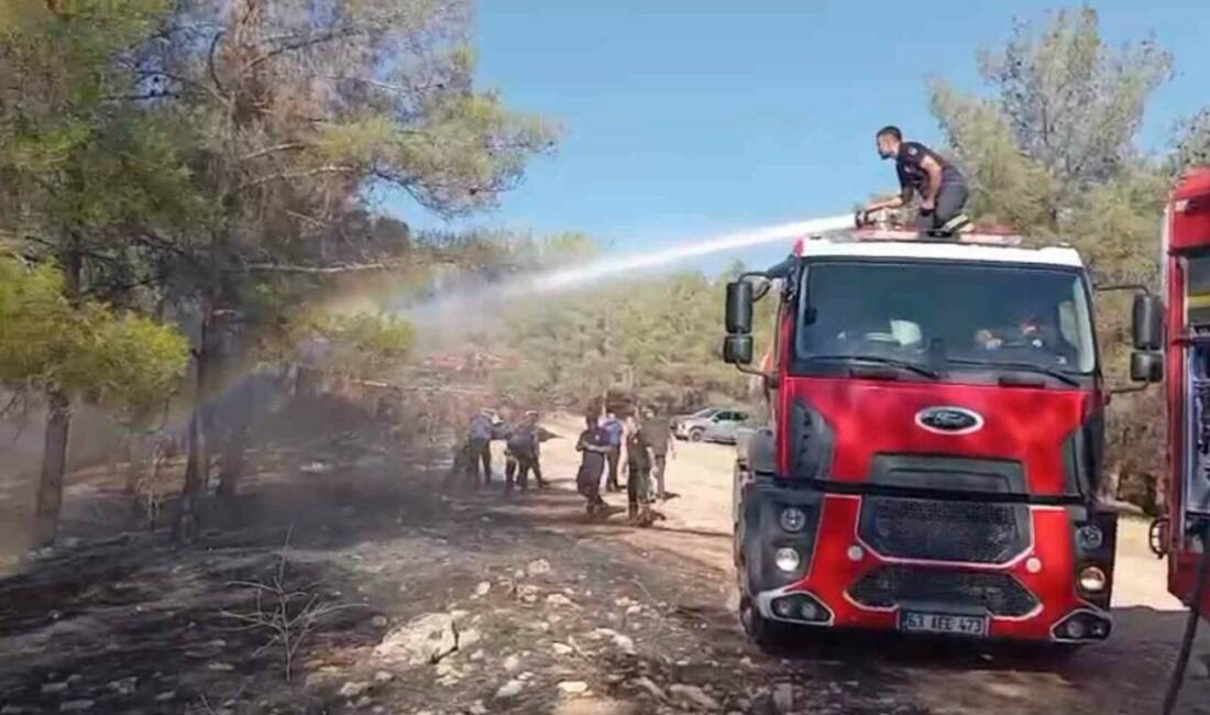 Şanlıurfa'nın Karaköprü ilçesinde ormanlık alanda çıkan yangın, itfaiye ekipleri tarafından