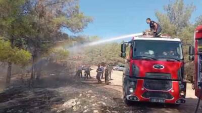 Şanlıurfa'nın Karaköprü ilçesinde ormanlık alanda çıkan yangın, itfaiye ekipleri tarafından