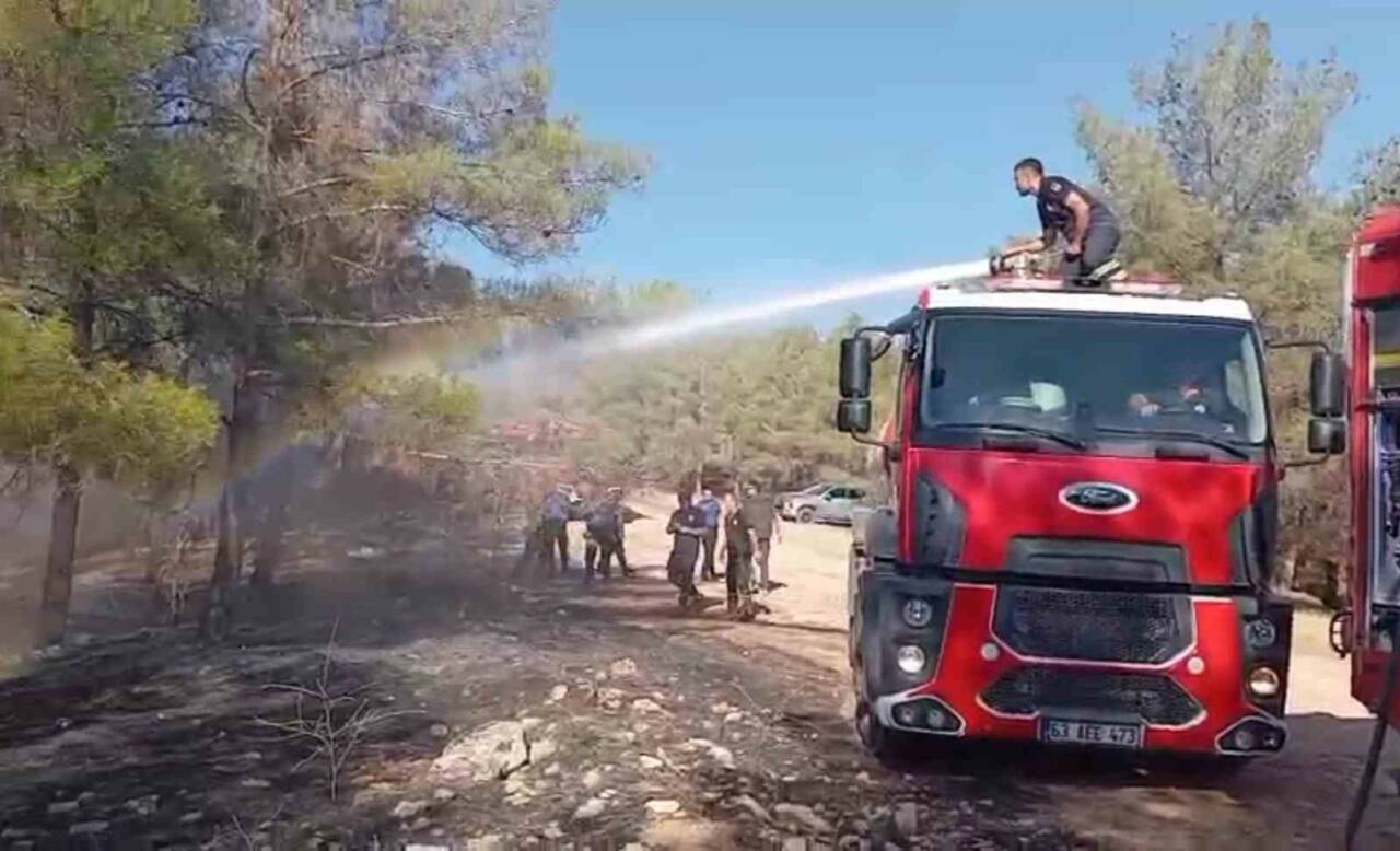 Şanlıurfa'nın Karaköprü ilçesinde ormanlık alanda çıkan yangın, itfaiye ekipleri tarafından