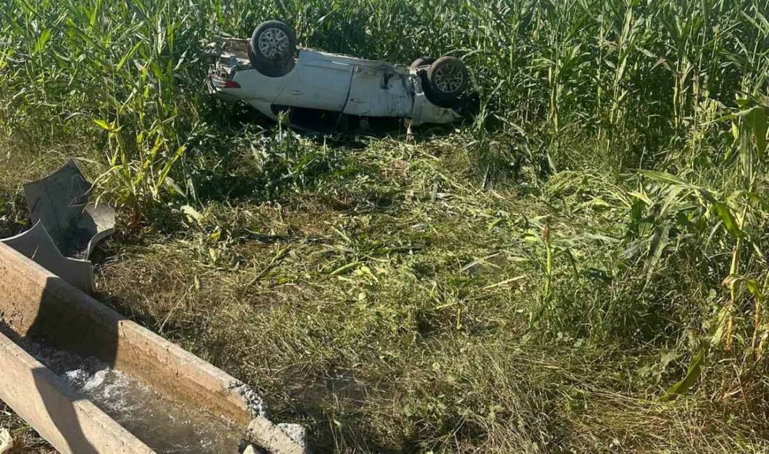 Şanlıurfa'nın Harran ilçesinde meydana gelen trafik kazasında bir kişi hayatını