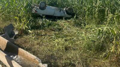Şanlıurfa'nın Harran ilçesinde meydana gelen trafik kazasında bir kişi hayatını