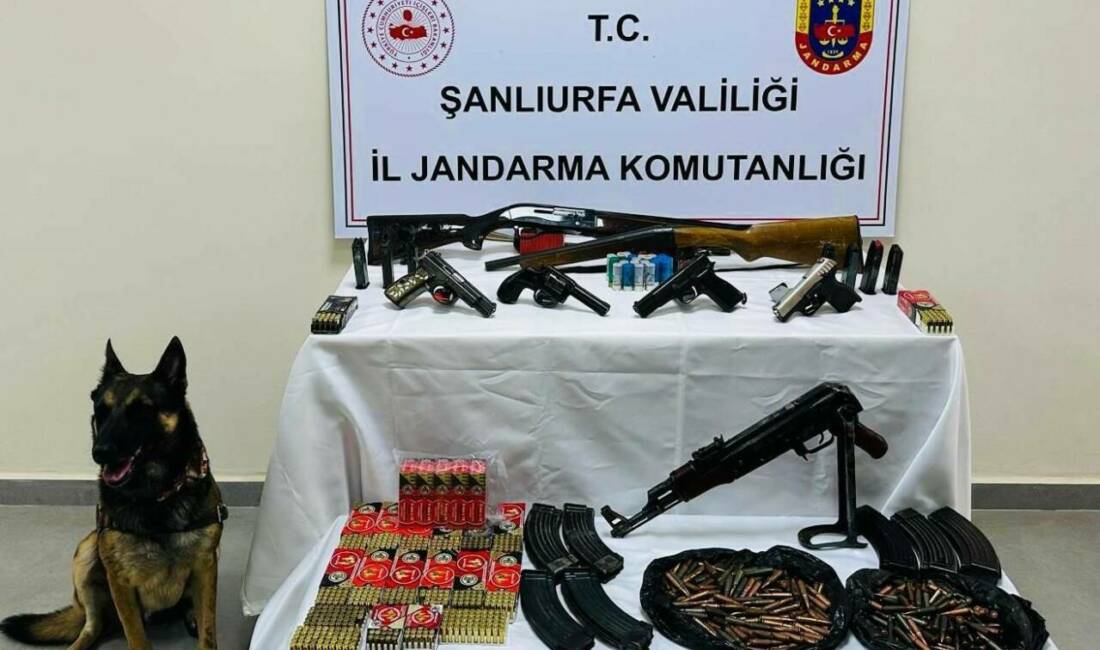 Şanlıurfa'da jandarma ekipleri tarafından yapılan operasyonda çok sayıda ruhsatsız silah