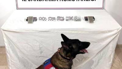 Şanlıurfa’nın Eyyübiye ilçesinde, jandarma tarafından düzenlenen operasyonda, bir miktar uyuşturucu