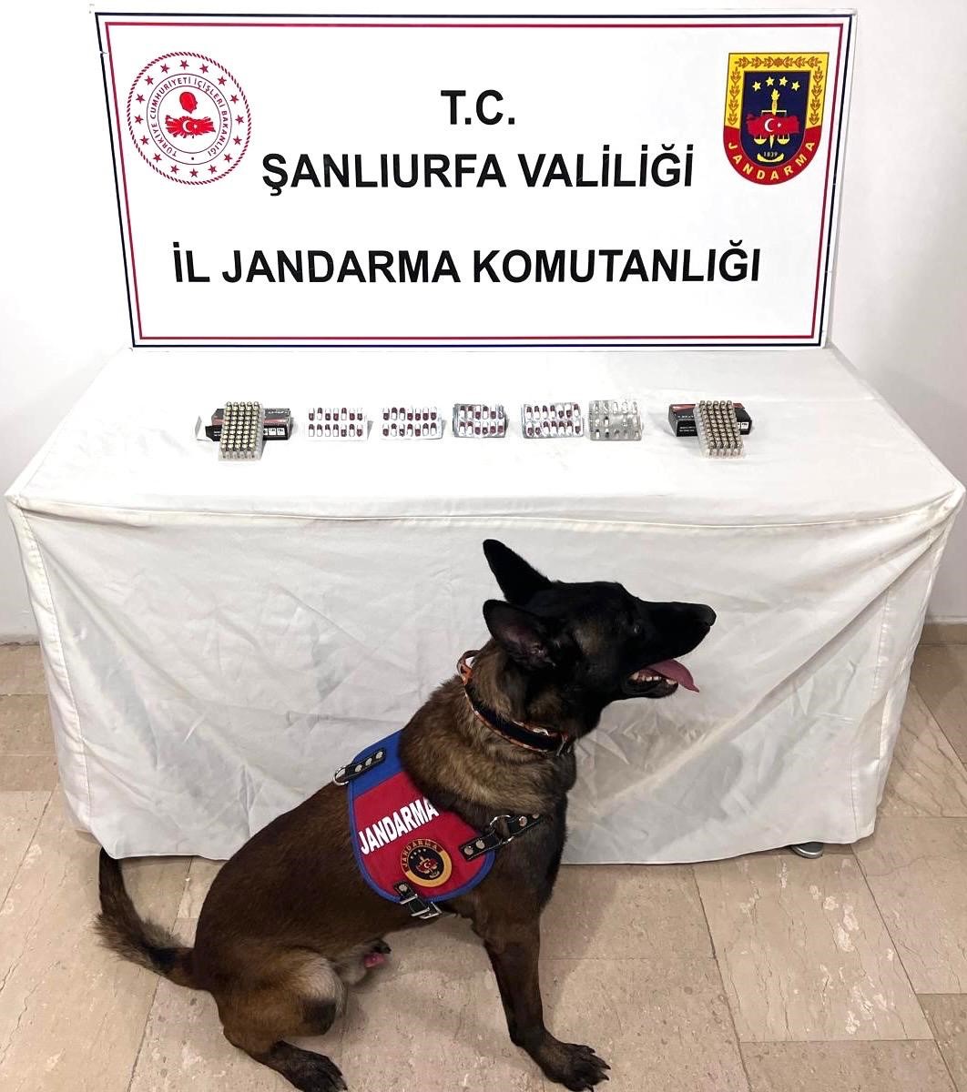 Şanlıurfa’nın Eyyübiye ilçesinde, jandarma tarafından düzenlenen operasyonda, bir miktar uyuşturucu