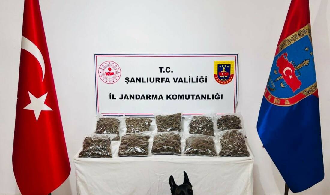 Şanlıurfa'nın Karaköprü ilçesinde jandarma ekipleri, bir adrese yönelik uyuşturucu operasyonu
