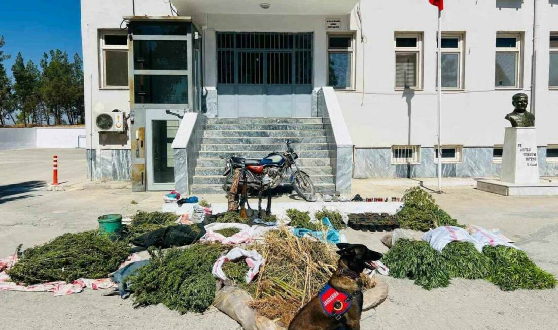 Şanlıurfa'nın Birecik ilçesinde jandarma ekipleri tarafından uyuşturucu operasyonu düzenlendi. Operasyonda