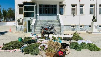 Şanlıurfa'nın Birecik ilçesinde jandarma ekipleri tarafından uyuşturucu operasyonu düzenlendi. Operasyonda