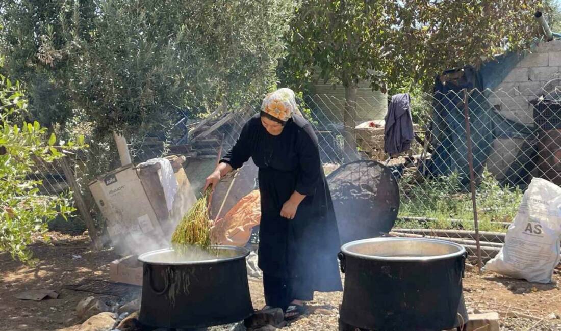 Şanlıurfa'da yapılan üzüm hasadıyla birlikte üzümün pekmez üretim süreci başlamış