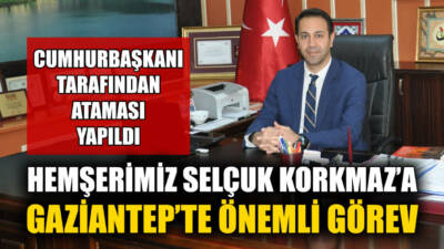 Bir buçuk yıldır vekaleten yürüttüğü göreve, Cumhurbaşkanlığı kararnamesiyle asaleten atandı.