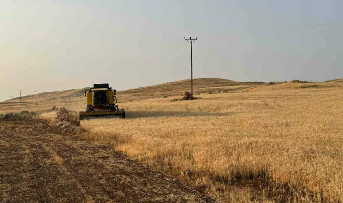 Siirt İl Tarım ve Orman Müdürlüğü, 2026 üretim yılına ait