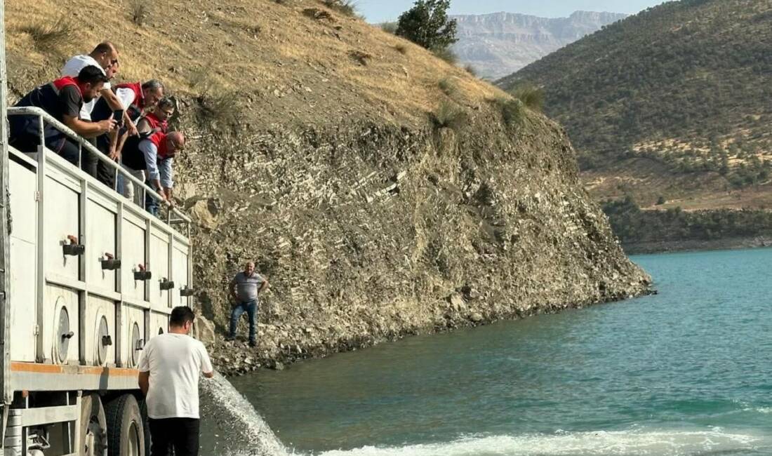 Tarım ve Orman Bakanlığı'nın yürüttüğü "Su Kaynaklarının Balıklandırılması Projesi" kapsamında