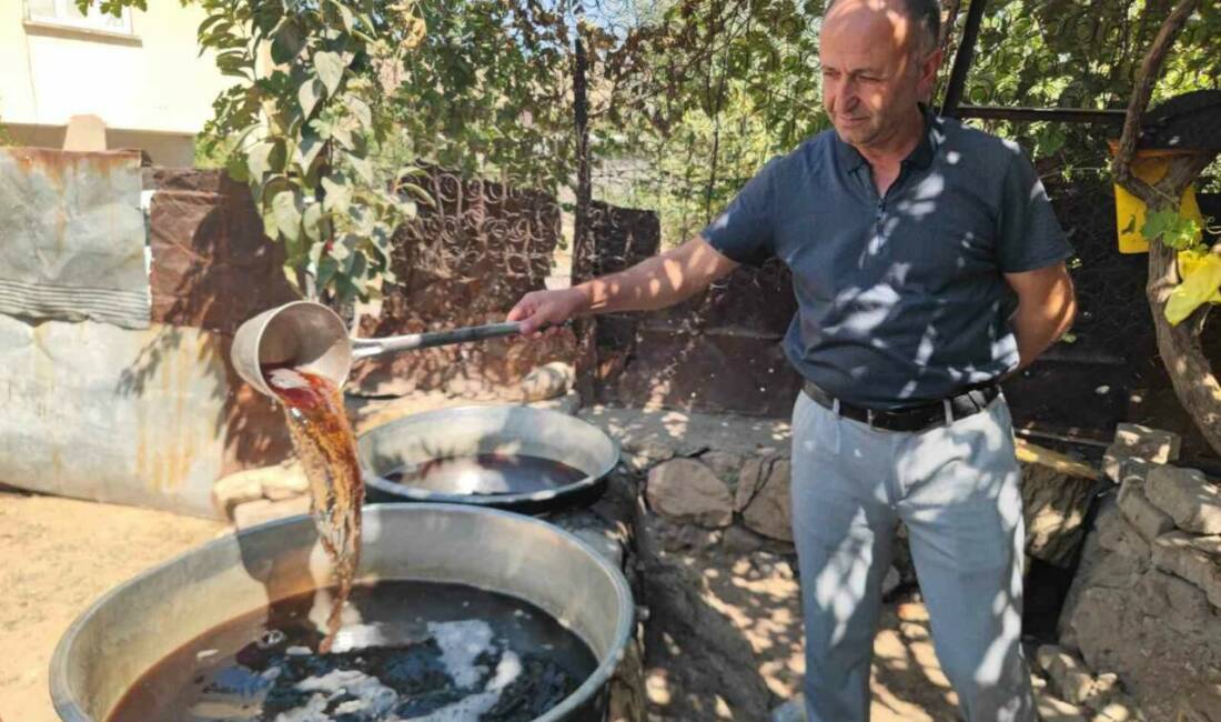 Siirt'te geleneksel yöntemlerle hasat edilen sinceri üzümü, pekmeze dönüştürülüyor. Üzümler