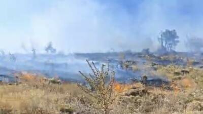 Sincik ilçesine bağlı Yarpuzlu Köyü kırsalındaki Küşüğan Yaylası'nda çıkan yangında