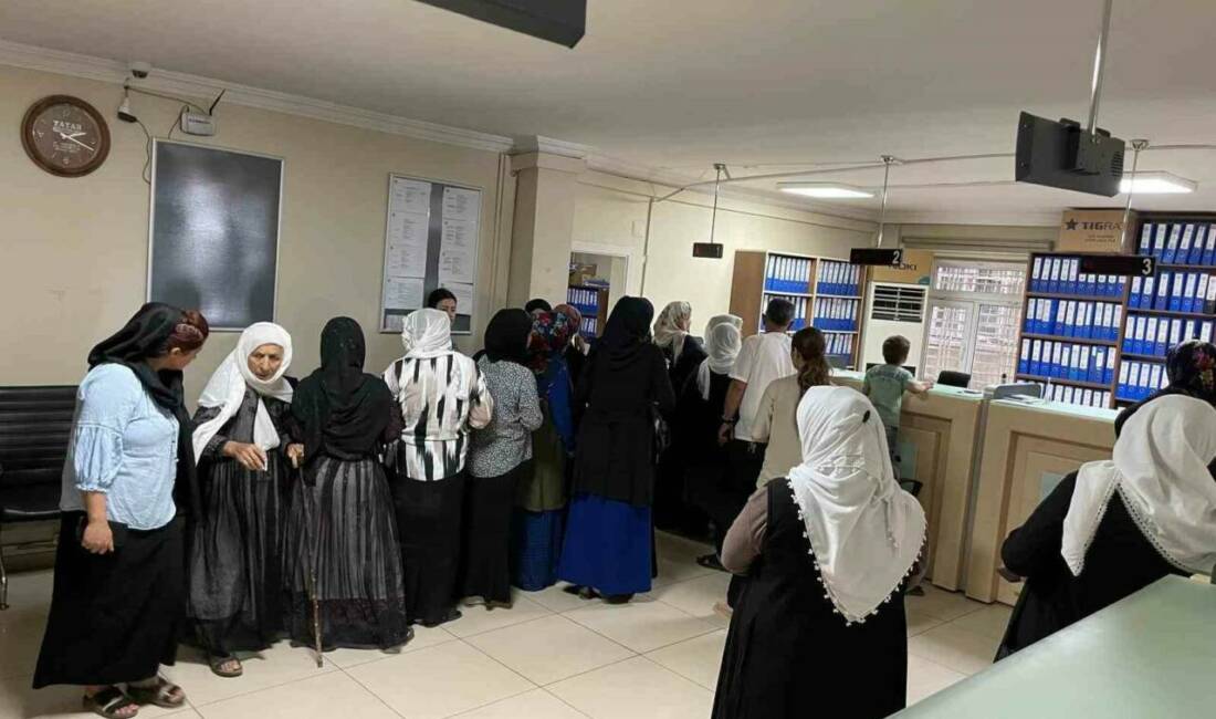 Şırnak Valiliği Sosyal Yardımlaşma ve Dayanışma Vakfı, 2024-2025 eğitim-öğretim yılında