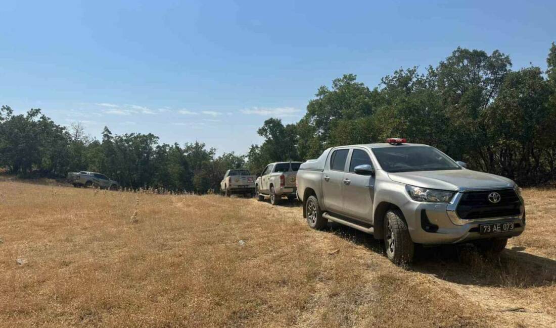 Şırnak'ın Bestler Dereleri bölgesinde ormanlık alanda çıkan yangına hem karadan