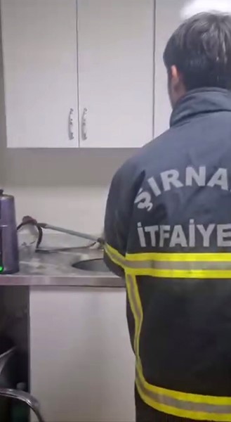 Şırnak'ta bir iş yerine giren yılan, vatandaşlarda korku ve paniğe