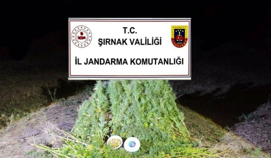 Şırnak'ta son bir haçka içinde İl Jandarma Komutanlığı tarafından düzenlenen