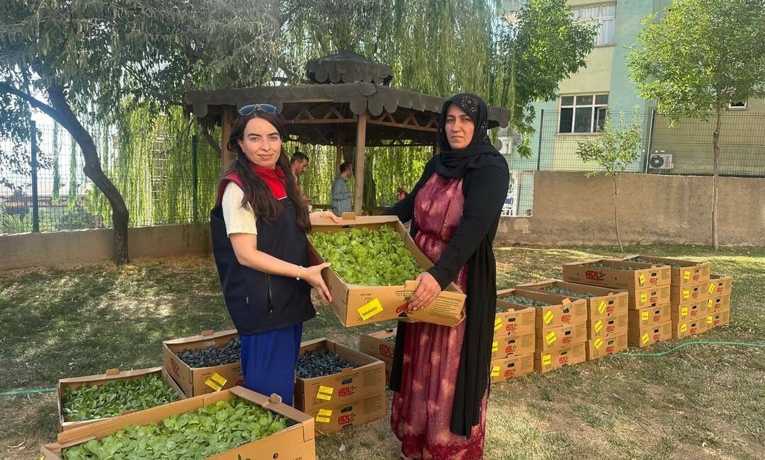 Şırnak'ta Tarım Arazilerinin Kullanımının Etkinleştirilmesi (TAKE) Projesi çerçevesinde 19 çiftçiye