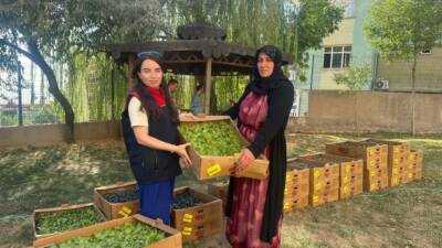 Şırnak'ta Tarım Arazilerinin Kullanımının Etkinleştirilmesi (TAKE) Projesi çerçevesinde 19 çiftçiye