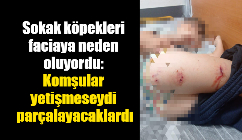 Diyarbakır'ın Yenişehir ilçesinde, 9 yaşındaki bir çocuk sokak köpeklerinin saldırısına