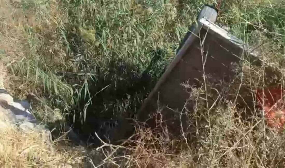 Şanlıurfa'nın Haliliye ilçesindeki bir olayda tahliye kanalına düşen at, itfaiye