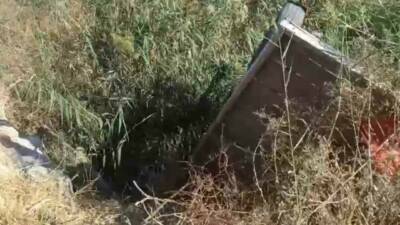 Şanlıurfa'nın Haliliye ilçesindeki bir olayda tahliye kanalına düşen at, itfaiye