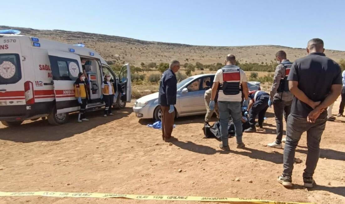 Gaziantep'te, Tarım ve Orman İl Müdürlüğü'nde ziraat teknikeri olarak görev