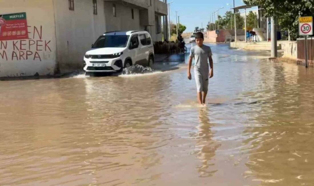 Şanlıurfa'nın Suruç ilçesinde tarlalardan akan tarımsal sulama suyu Aligör Mahallesi'ni
