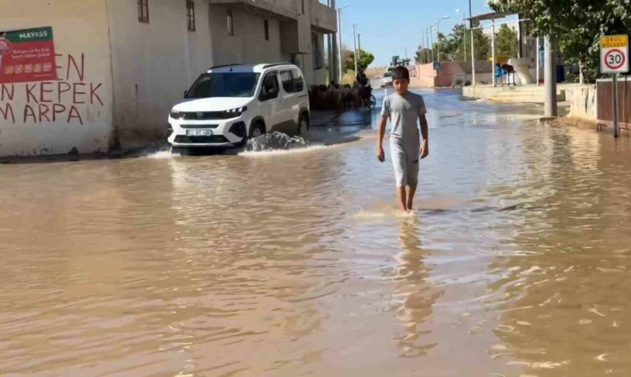 Şanlıurfa'nın Suruç ilçesinde tarlalardan akan tarımsal sulama suyu Aligör Mahallesi'ni