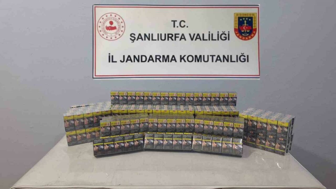 Viranşehir ilçesinde jandarma ekiplerinin gerçekleştirdiği operasyonda bin 30 paket gümrük
