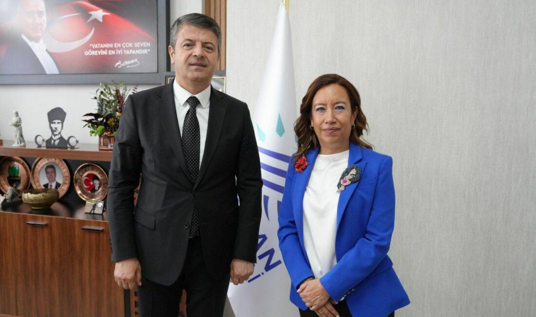 İsveç Büyükelçisi Malena Mard, İsveç Müsteşarı Nasrin Pourghazian, Birleşmiş Milletler