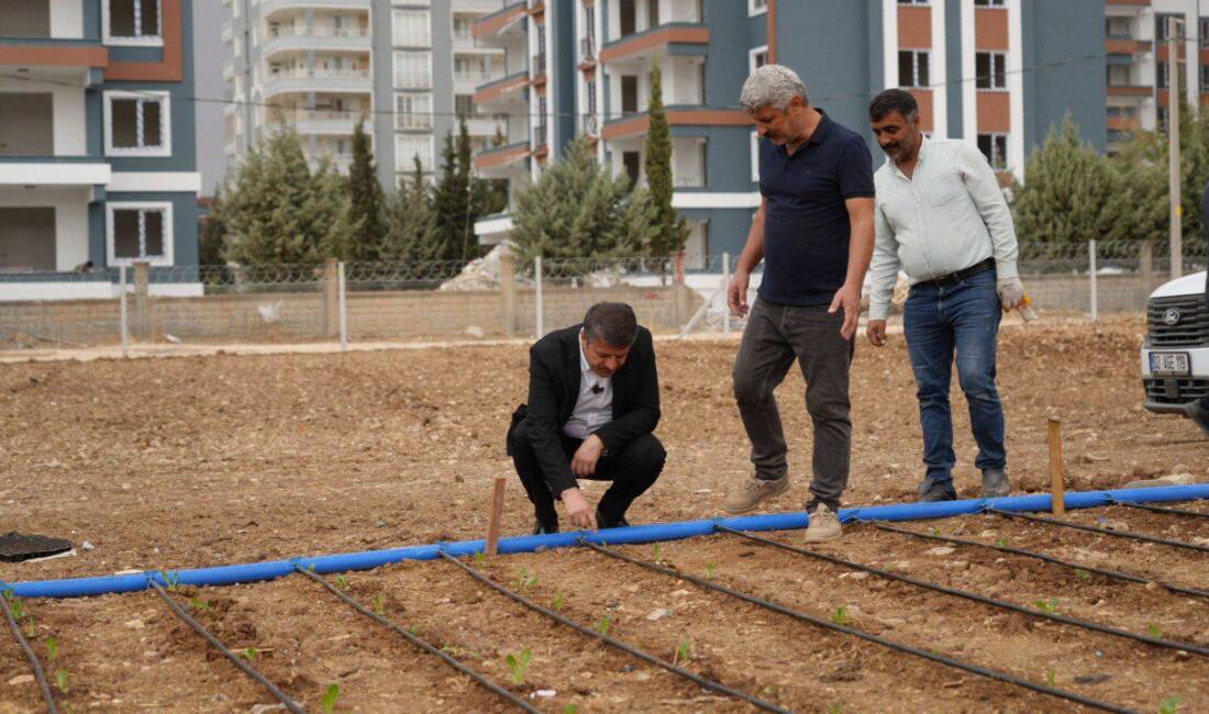 Adıyaman Belediyesi, kentte tarımsal üretimi teşvik etmek ve ihtiyaç sahiplerine