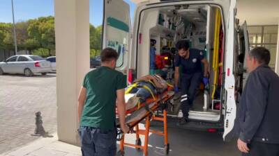 Adıyaman'ın Besni ilçesinde meydana gelen trafik kazasında, Hacı Ali Ö.