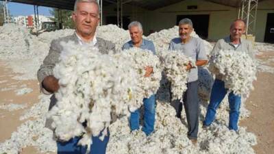 Araban Ziraat Odası Başkanı Hasan Altun, Araban Ovası'nda makinalı pamuk
