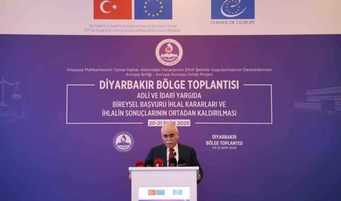 Anayasa Mahkemesi Başkanı Kadir Özkaya, Diyarbakır'da düzenlenen bölge toplantısında 13