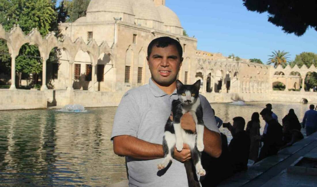Şanlıurfa’nın simge noktalarından Balıklıgöl’de, yürekleri ısıtan bir kurtarma hikayesi yaşandı.
