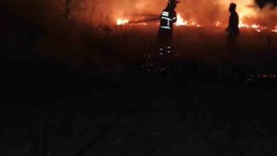 Batman'ın Diktepe köyünde çıkan anız yangını, hızlı bir şekilde itfaiye