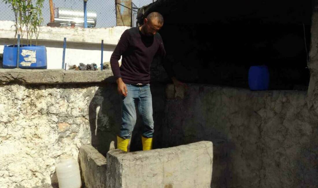 Batman'ın Gercüş ilçesinde bağbozumu ve pekmez üretimi büyük bir coşkuyla