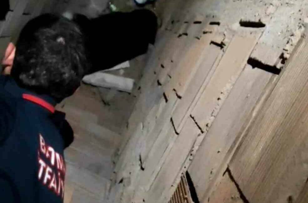 Batman’da bir binanın havalandırma boşluğuna düşen kedi, itfaiye ekiplerinin müdahalesi