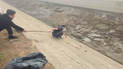 Batman merkez Korik Mahallesi’nde su kanalına düşen bir yavru köpek,