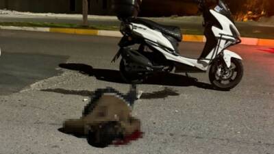 Şanlıurfa'nın Karaköprü ilçesinde 32 yaşındaki bir genç, bıçaklı saldırıya uğradıktan