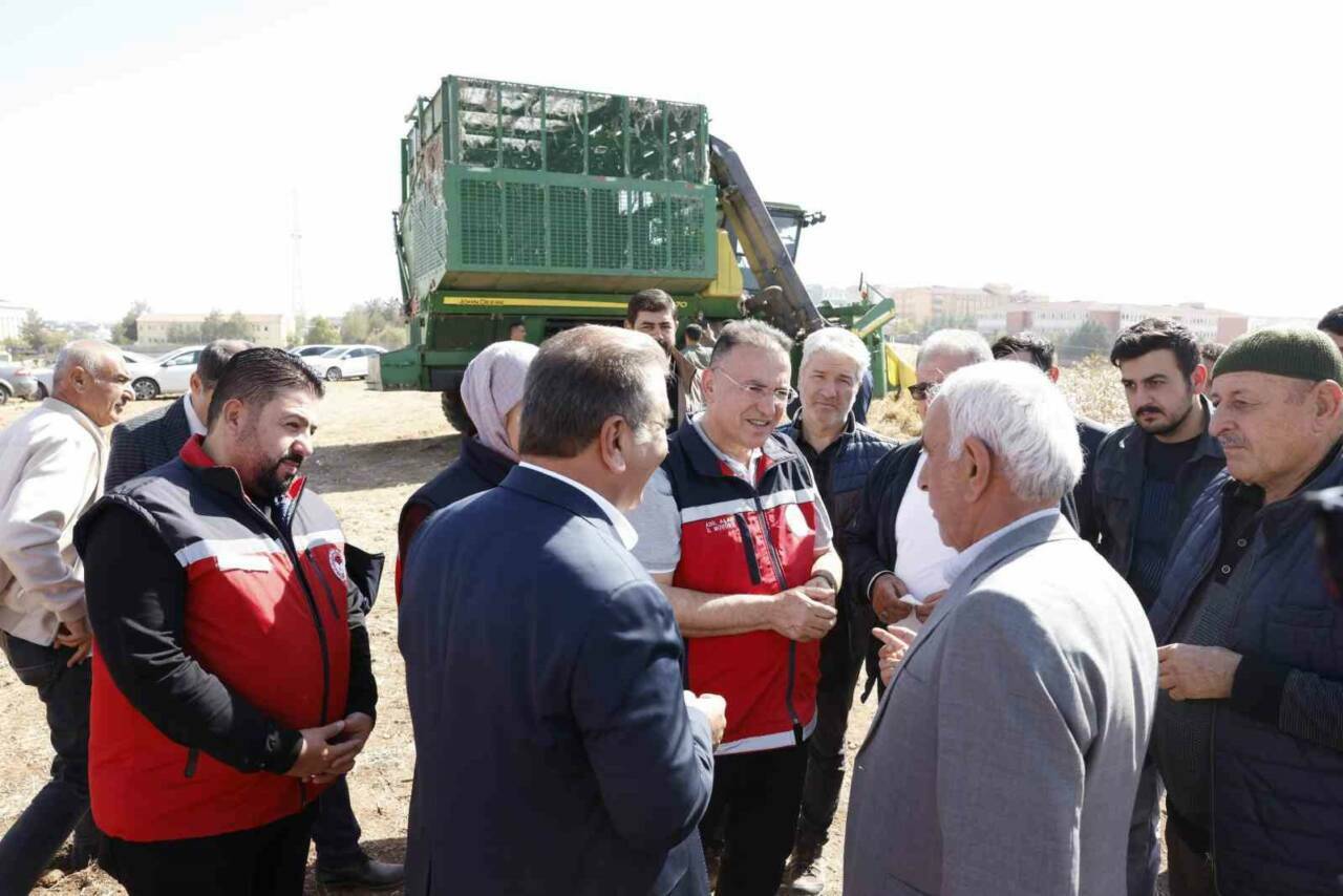 Diyarbakır'ın Bismil ilçesinde yapılan hasat etkinliği ile pamuk üretim sezonu
