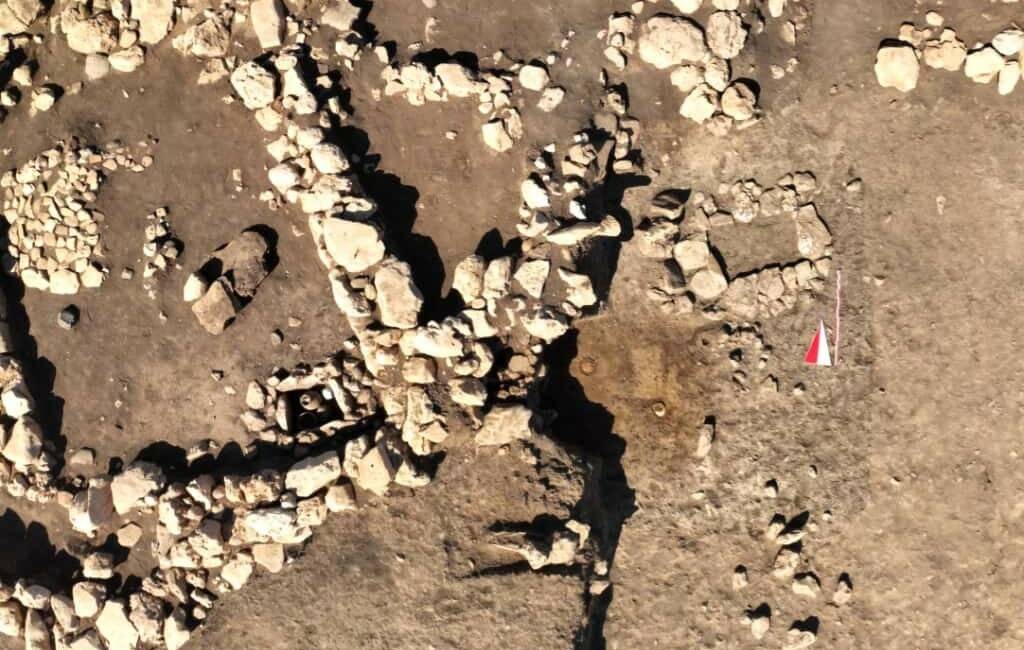 Çayönü Tepesi'nde yürütülen 2025 yılı kazı çalışmalarında 8 mezar gün